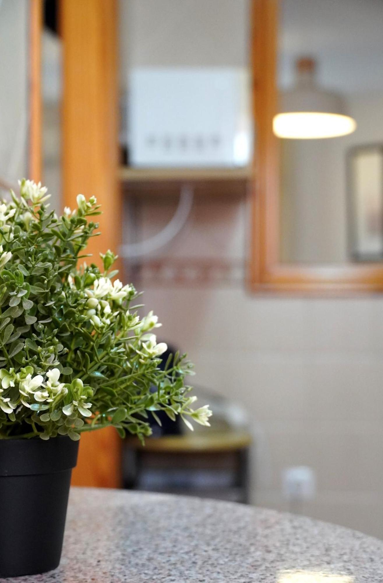 Casa Herminia 弗里希利亚纳 外观 照片